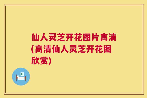 仙人灵芝开花图片高清(高清仙人灵芝开花图欣赏) 仙人灵芝开花图片高清(高清仙人灵芝开花图欣赏)