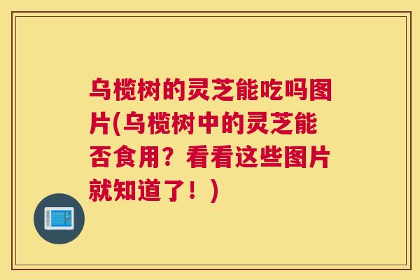 乌榄树的灵芝能吃吗图片(乌榄树中的灵芝能否食用?看看这些图片就知道了!) 乌榄树的灵芝能吃吗图片(乌榄树中的灵芝能否食用?看看这些图片就知道了!)