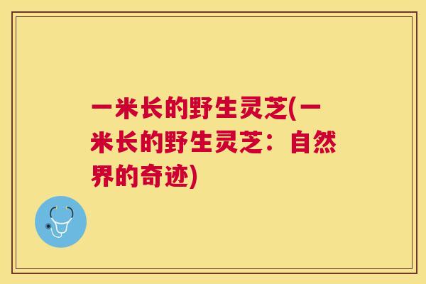 一米长的野生灵芝(一米长的野生灵芝:自然界的奇迹) 一米长的野生灵芝(一米长的野生灵芝:自然界的奇迹)