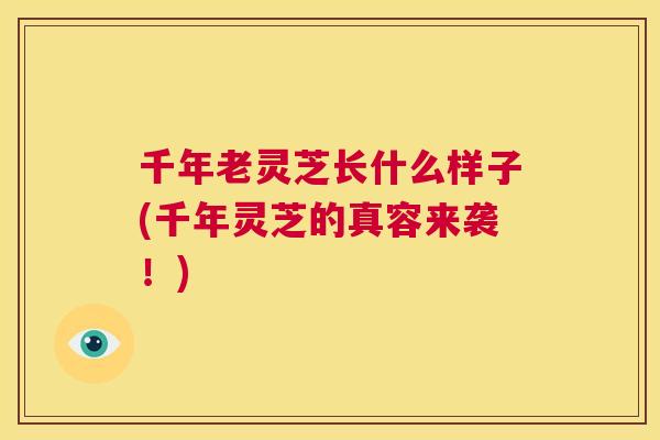 千年老灵芝长什么样子(千年灵芝的真容来袭!) 千年老灵芝长什么样子(千年灵芝的真容来袭!)