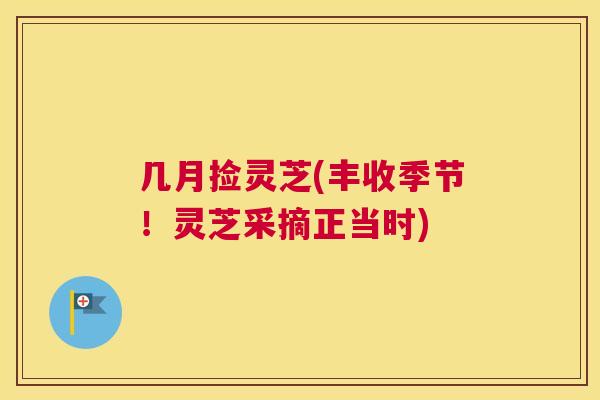 几月捡灵芝(丰收季节!灵芝采摘正当时) 几月捡灵芝(丰收季节!灵芝采摘正当时)