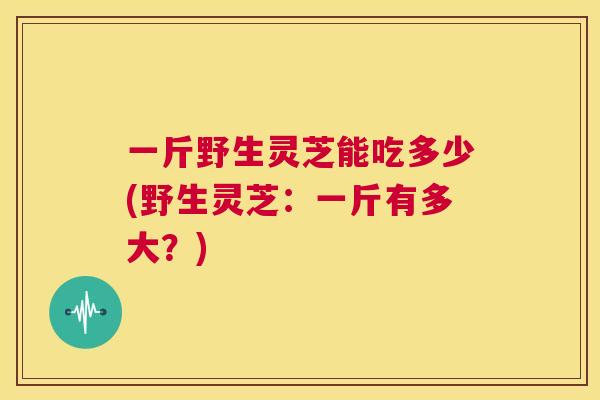 一斤野生灵芝能吃多少(野生灵芝:一斤有多大?) 一斤野生灵芝能吃多少(野生灵芝:一斤有多大?)