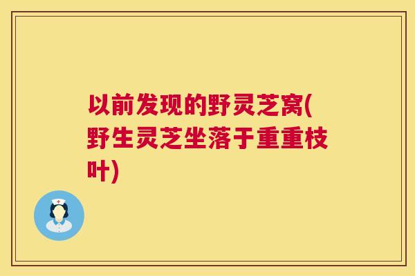 以前发现的野灵芝窝(野生灵芝坐落于重重枝叶) 以前发现的野灵芝窝(野生灵芝坐落于重重枝叶)