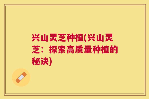 兴山灵芝种植(兴山灵芝:探索高质量种植的秘诀) 兴山灵芝种植(兴山灵芝:探索高质量种植的秘诀)