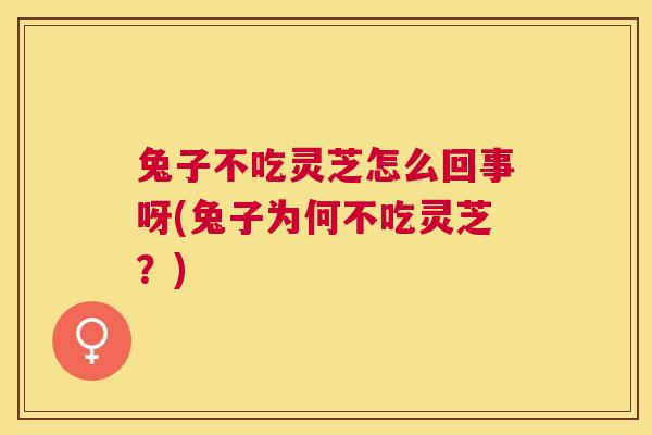 兔子不吃灵芝怎么回事呀(兔子为何不吃灵芝?) 兔子不吃灵芝怎么回事呀(兔子为何不吃灵芝?)