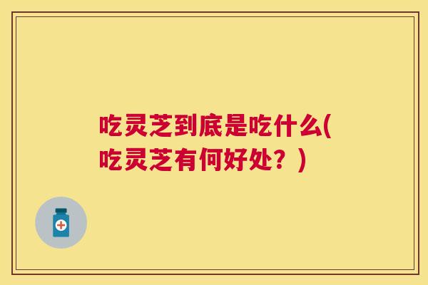 吃灵芝到底是吃什么(吃灵芝有何好处？)