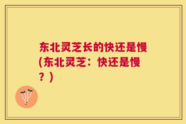 东北灵芝长的快还是慢(东北灵芝:快还是慢?) 东北灵芝长的快还是慢(东北灵芝:快还是慢?)