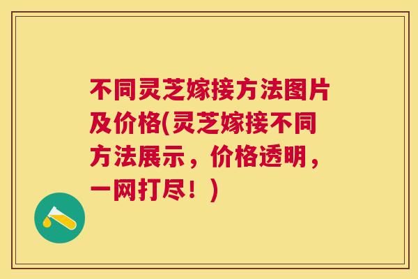 不同灵芝嫁接方法图片及价格(灵芝嫁接不同方法展示,价格透明,一网打尽!) 不同灵芝嫁接方法图片及价格(灵芝嫁接不同方法展示,价格透明,一网打尽!)