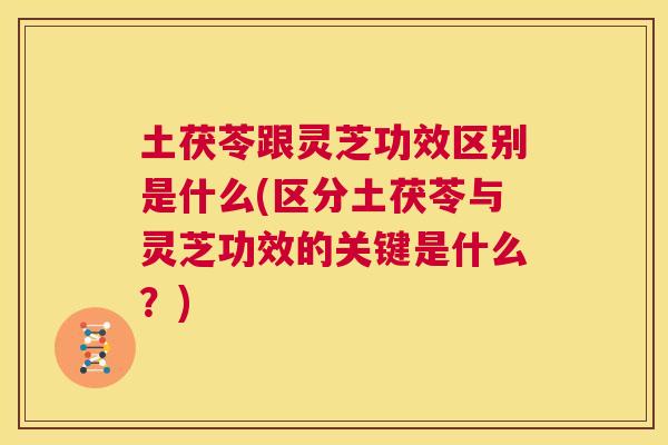 土茯苓跟灵芝功效区别是什么(区分土茯苓与灵芝功效的关键是什么?) 土茯苓跟灵芝功效区别是什么(区分土茯苓与灵芝功效的关键是什么?)