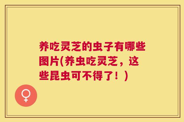 养吃灵芝的虫子有哪些图片(养虫吃灵芝,这些昆虫可不得了!) 养吃灵芝的虫子有哪些图片(养虫吃灵芝,这些昆虫可不得了!)