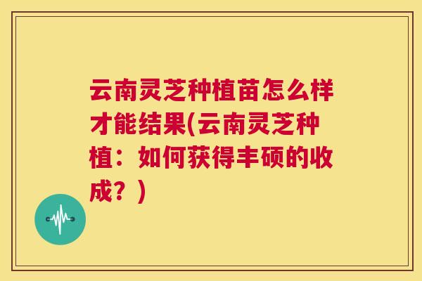 云南灵芝种植苗怎么样才能结果(云南灵芝种植:如何获得丰硕的收成?) 云南灵芝种植苗怎么样才能结果(云南灵芝种植:如何获得丰硕的收成?)
