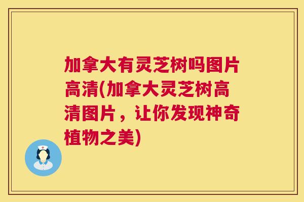 加拿大有灵芝树吗图片高清(加拿大灵芝树高清图片,让你发现神奇植物之美) 加拿大有灵芝树吗图片高清(加拿大灵芝树高清图片,让你发现神奇植物之美)