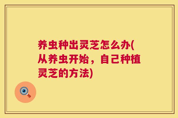 养虫种出灵芝怎么办(从养虫开始,自己种植灵芝的方法) 养虫种出灵芝怎么办(从养虫开始,自己种植灵芝的方法)