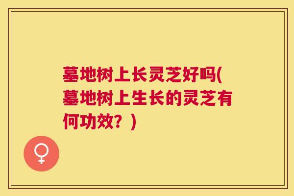 墓地树上长灵芝好吗(墓地树上生长的灵芝有何功效?) 墓地树上长灵芝好吗(墓地树上生长的灵芝有何功效?)