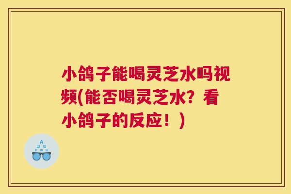小鸽子能喝灵芝水吗视频(能否喝灵芝水?看小鸽子的反应!) 小鸽子能喝灵芝水吗视频(能否喝灵芝水?看小鸽子的反应!)