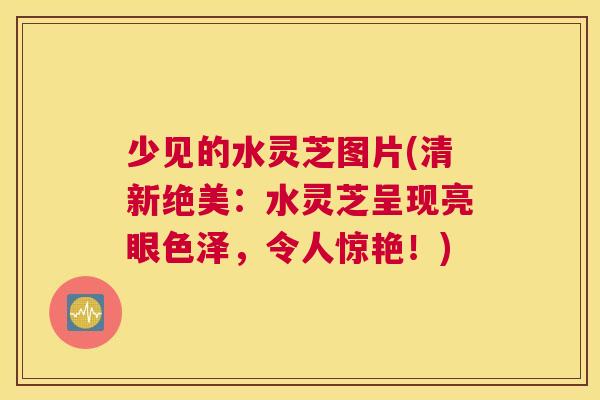 少见的水灵芝图片(清新绝美:水灵芝呈现亮眼色泽,令人惊艳!) 少见的水灵芝图片(清新绝美:水灵芝呈现亮眼色泽,令人惊艳!)
