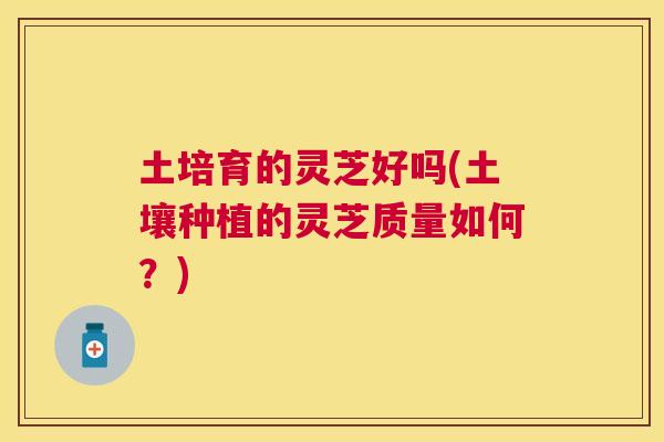 土培育的灵芝好吗(土壤种植的灵芝质量如何?) 土培育的灵芝好吗(土壤种植的灵芝质量如何?)