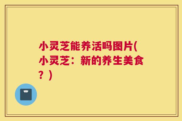 小灵芝能养活吗图片(小灵芝:新的养生美食?) 小灵芝能养活吗图片(小灵芝:新的养生美食?)