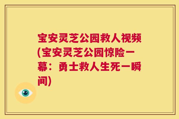 宝安灵芝公园救人视频(宝安灵芝公园惊险一幕：勇士救人生死一瞬间)