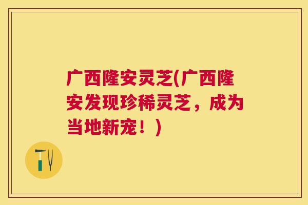广西隆安灵芝(广西隆安发现珍稀灵芝,成为当地新宠!) 广西隆安灵芝(广西隆安发现珍稀灵芝,成为当地新宠!)