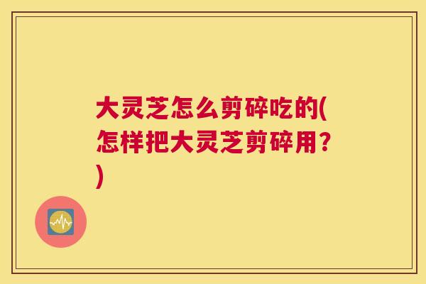 大灵芝怎么剪碎吃的(怎样把大灵芝剪碎用?) 大灵芝怎么剪碎吃的(怎样把大灵芝剪碎用?)