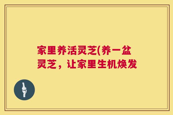 家里养活灵芝(养一盆灵芝,让家里生机焕发 家里养活灵芝(养一盆灵芝,让家里生机焕发