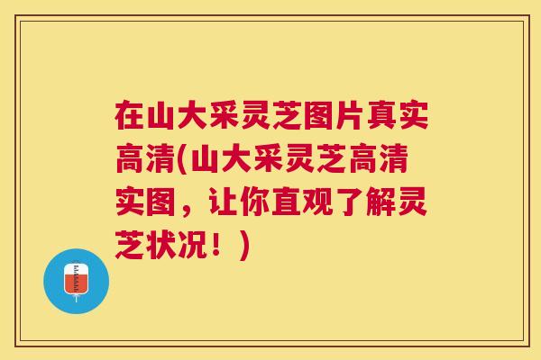 在山大采灵芝图片真实高清(山大采灵芝高清实图,让你直观了解灵芝状况!) 在山大采灵芝图片真实高清(山大采灵芝高清实图,让你直观了解灵芝状况!)