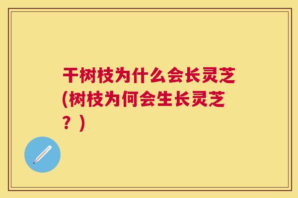 干树枝为什么会长灵芝(树枝为何会生长灵芝?) 干树枝为什么会长灵芝(树枝为何会生长灵芝?)