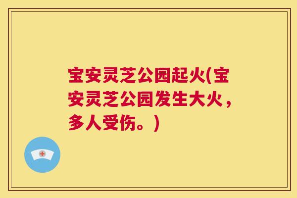 宝安灵芝公园起火(宝安灵芝公园发生大火,多人受伤。) 宝安灵芝公园起火(宝安灵芝公园发生大火,多人受伤。)