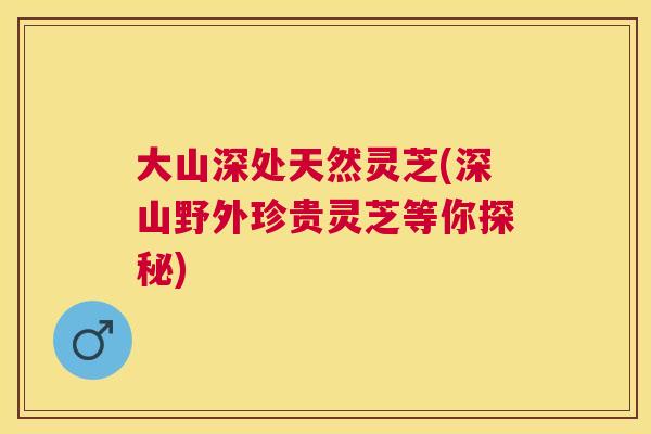 大山深处天然灵芝(深山野外珍贵灵芝等你探秘) 大山深处天然灵芝(深山野外珍贵灵芝等你探秘)
