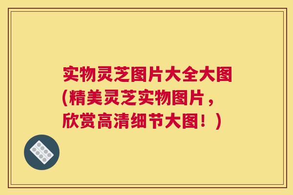 实物灵芝图片大全大图(精美灵芝实物图片,欣赏高清细节大图!) 实物灵芝图片大全大图(精美灵芝实物图片,欣赏高清细节大图!)