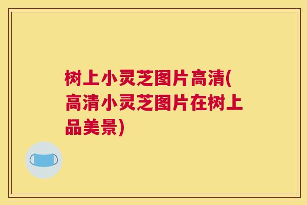 树上小灵芝图片高清(高清小灵芝图片在树上品美景)