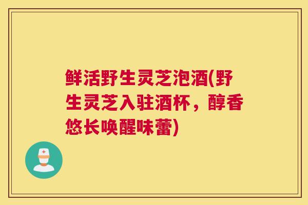 鲜活野生灵芝泡酒(野生灵芝入驻酒杯，醇香悠长唤醒味蕾)