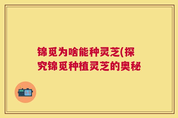 锦觅为啥能种灵芝(探究锦觅种植灵芝的奥秘