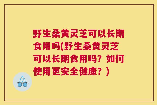 野生桑黄灵芝可以长期食用吗(野生桑黄灵芝可以长期食用吗？如何使用更安全健康？)