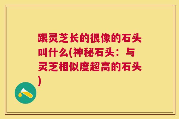 跟灵芝长的很像的石头叫什么(神秘石头：与灵芝相似度超高的石头)