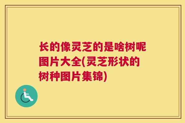 长的像灵芝的是啥树呢图片大全(灵芝形状的树种图片集锦)