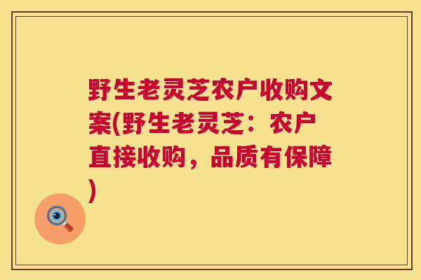 野生老灵芝农户收购文案(野生老灵芝：农户直接收购，品质有保障)