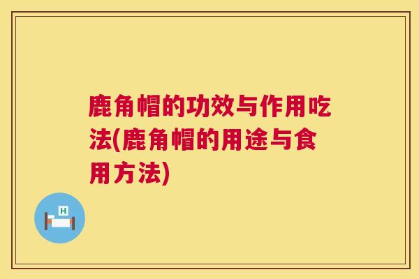 鹿角帽的功效与作用吃法(鹿角帽的用途与食用方法)