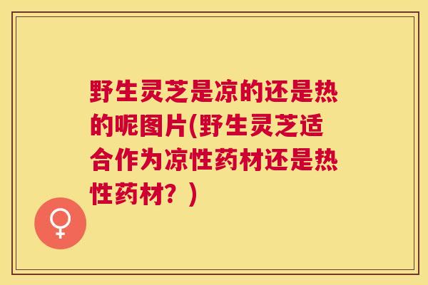 野生灵芝是凉的还是热的呢图片(野生灵芝适合作为凉性药材还是热性药材？)