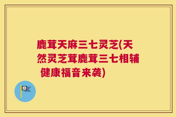 鹿茸天麻三七灵芝(天然灵芝茸鹿茸三七相辅 健康福音来袭)