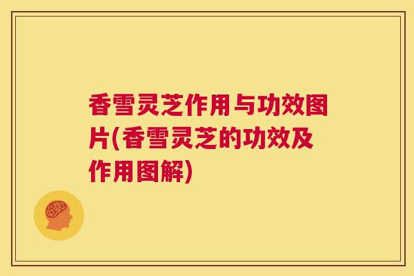 香雪灵芝作用与功效图片(香雪灵芝的功效及作用图解)