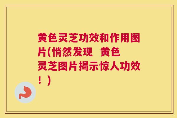 黄色灵芝功效和作用图片(悄然发现  黄色灵芝图片揭示惊人功效！)