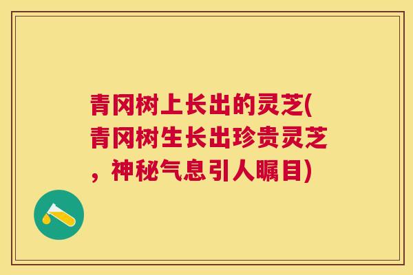 青冈树上长出的灵芝(青冈树生长出珍贵灵芝，神秘气息引人瞩目)