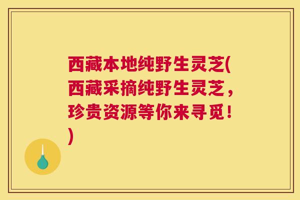 西藏本地纯野生灵芝(西藏采摘纯野生灵芝，珍贵资源等你来寻觅！)