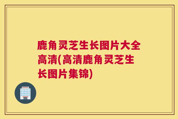 鹿角灵芝生长图片大全高清(高清鹿角灵芝生长图片集锦)