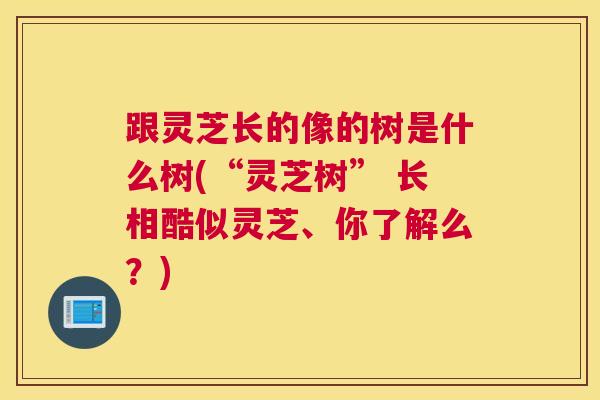 跟灵芝长的像的树是什么树(“灵芝树” 长相酷似灵芝、你了解么？)