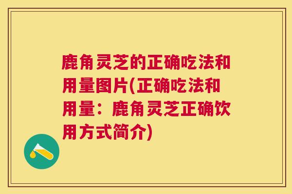 鹿角灵芝的正确吃法和用量图片(正确吃法和用量：鹿角灵芝正确饮用方式简介)