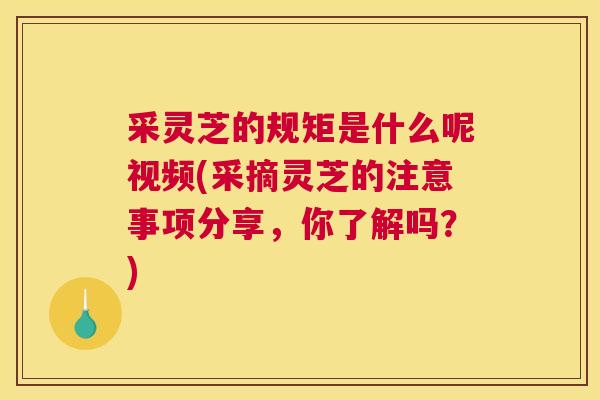 采灵芝的规矩是什么呢视频(采摘灵芝的注意事项分享，你了解吗？)