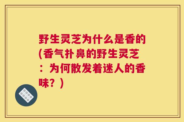 野生灵芝为什么是香的(香气扑鼻的野生灵芝：为何散发着迷人的香味？)